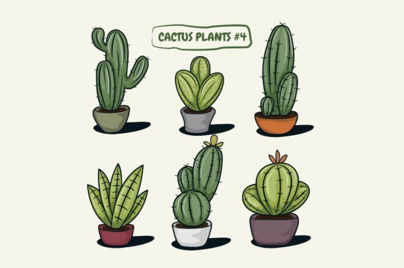 Cactus Vector Illustration: Graphics for Creative Freebies